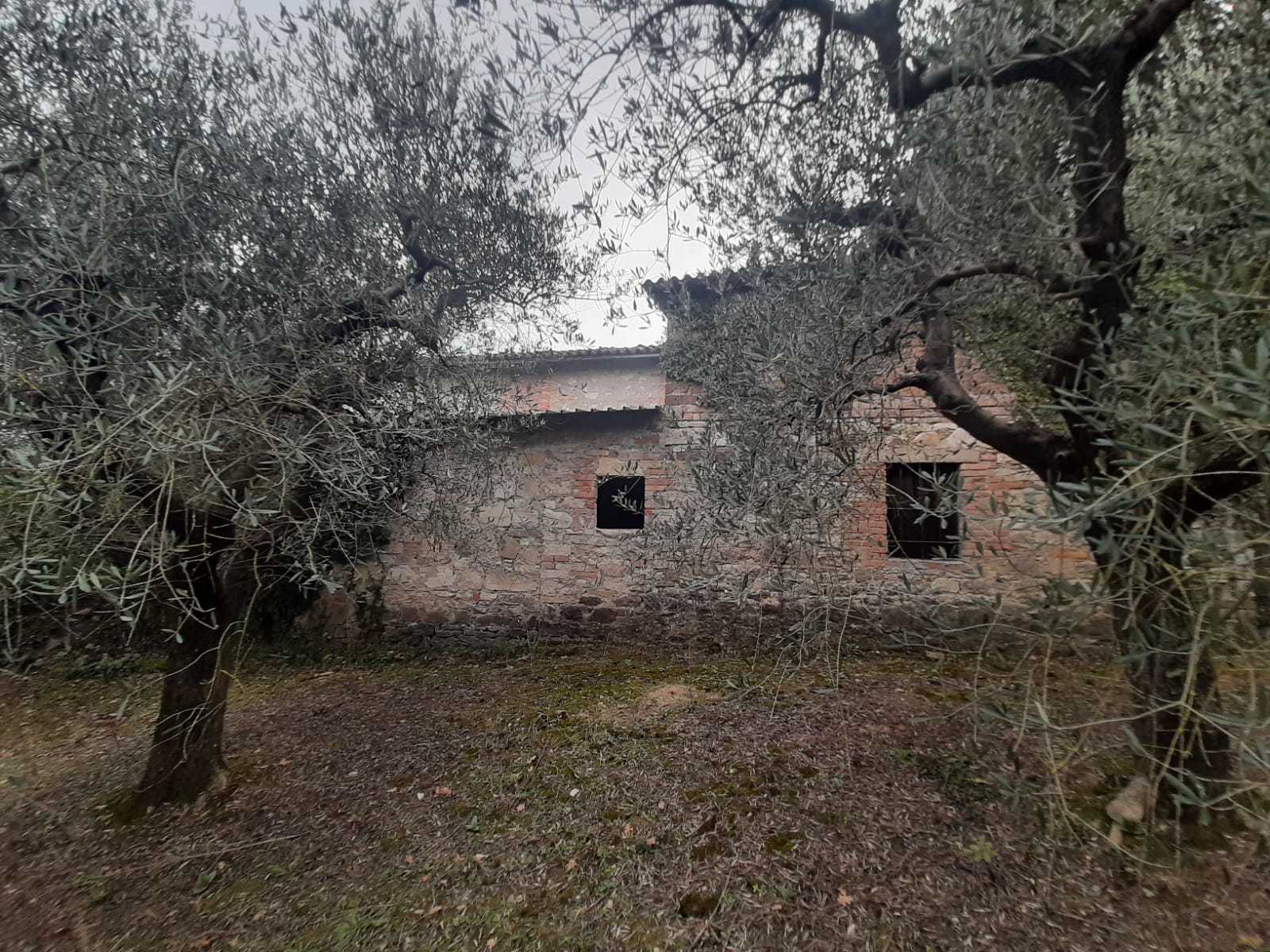  - foto 23