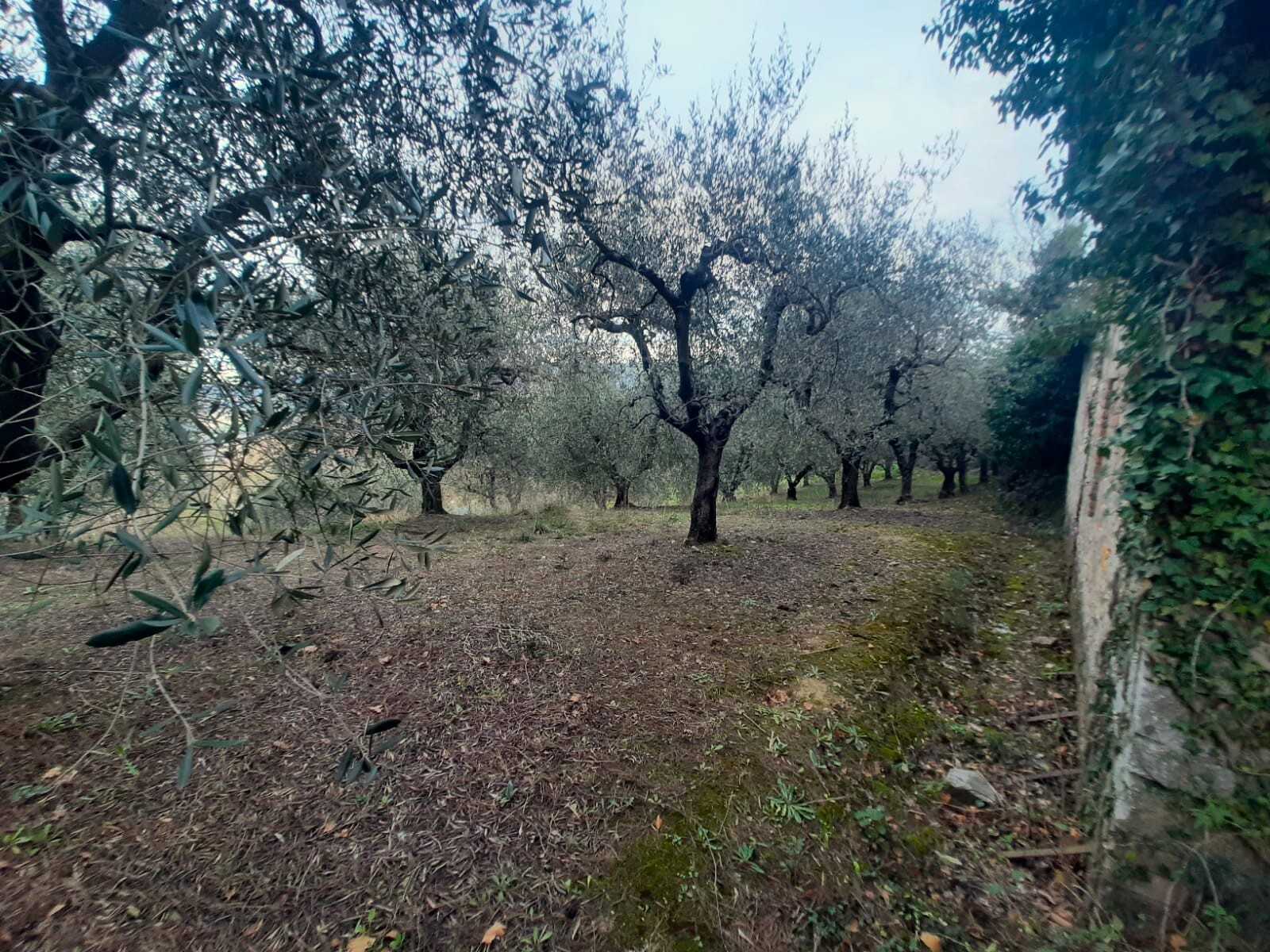  - foto 24