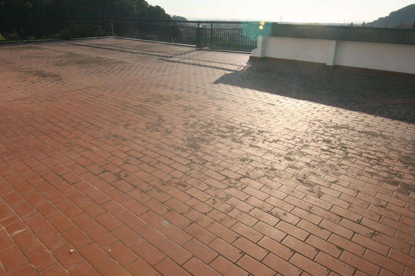  - foto 13
