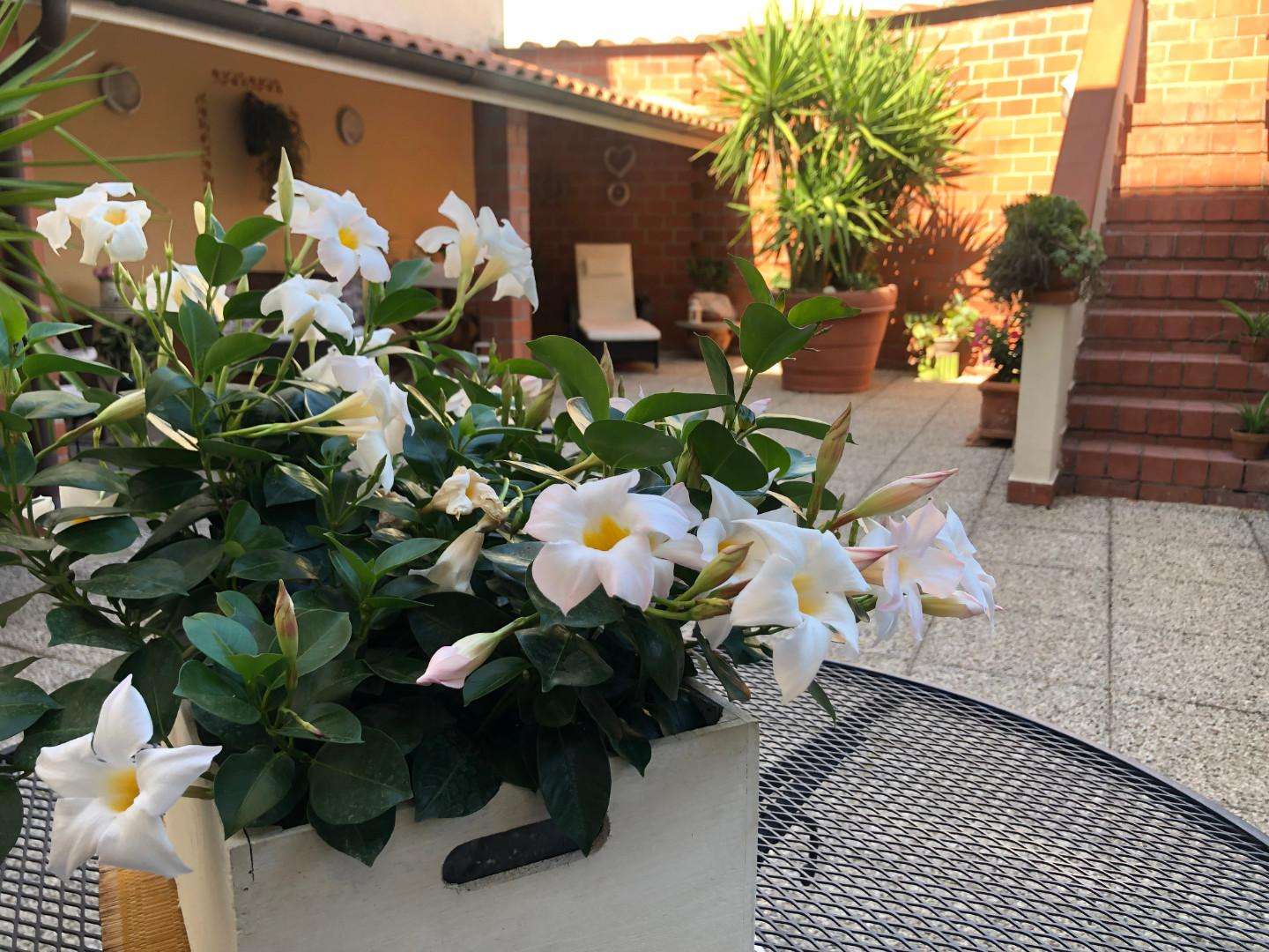  - foto 27