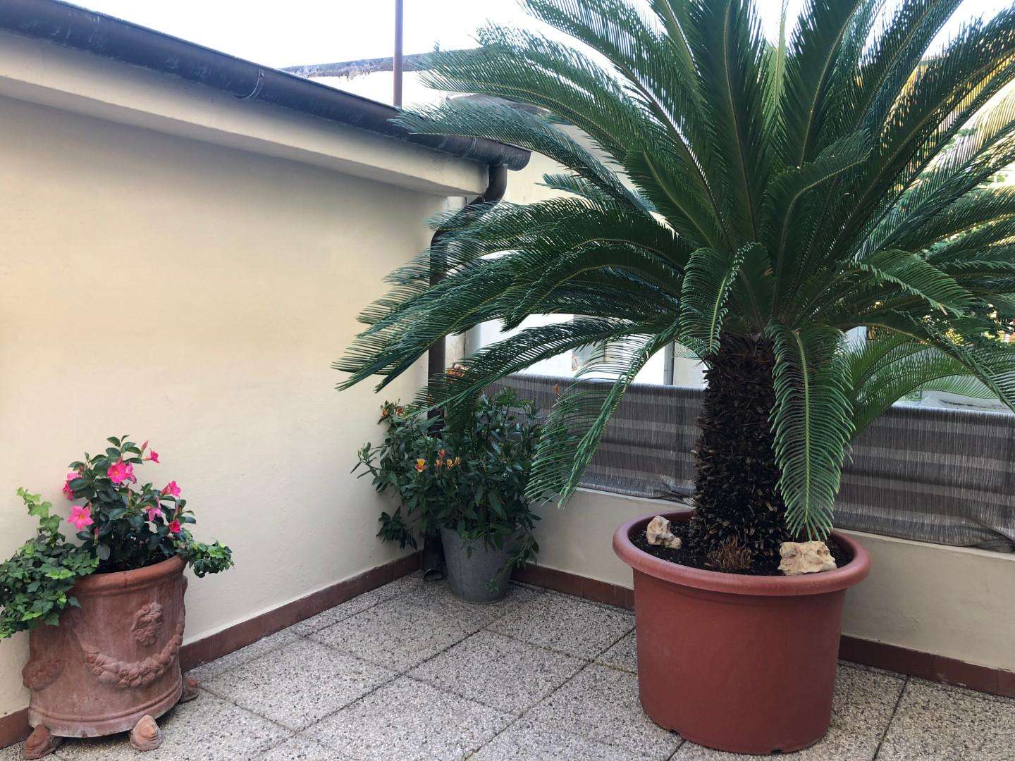  - foto 28
