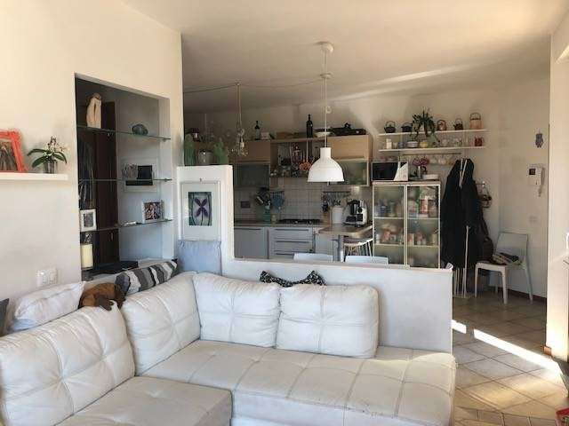  - foto 5
