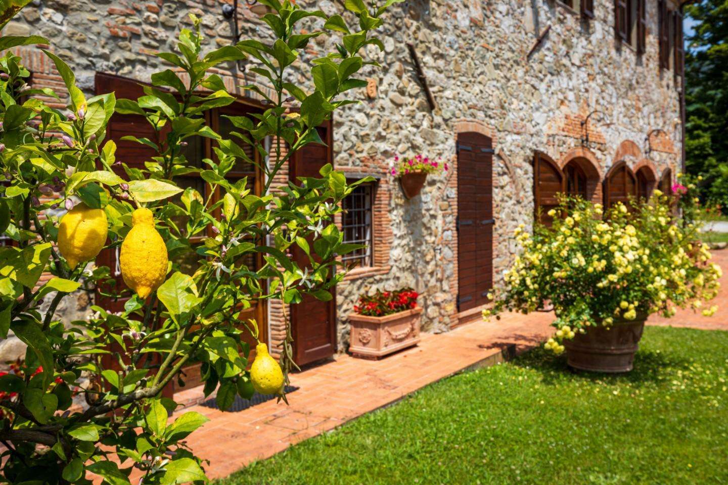  - foto 50
