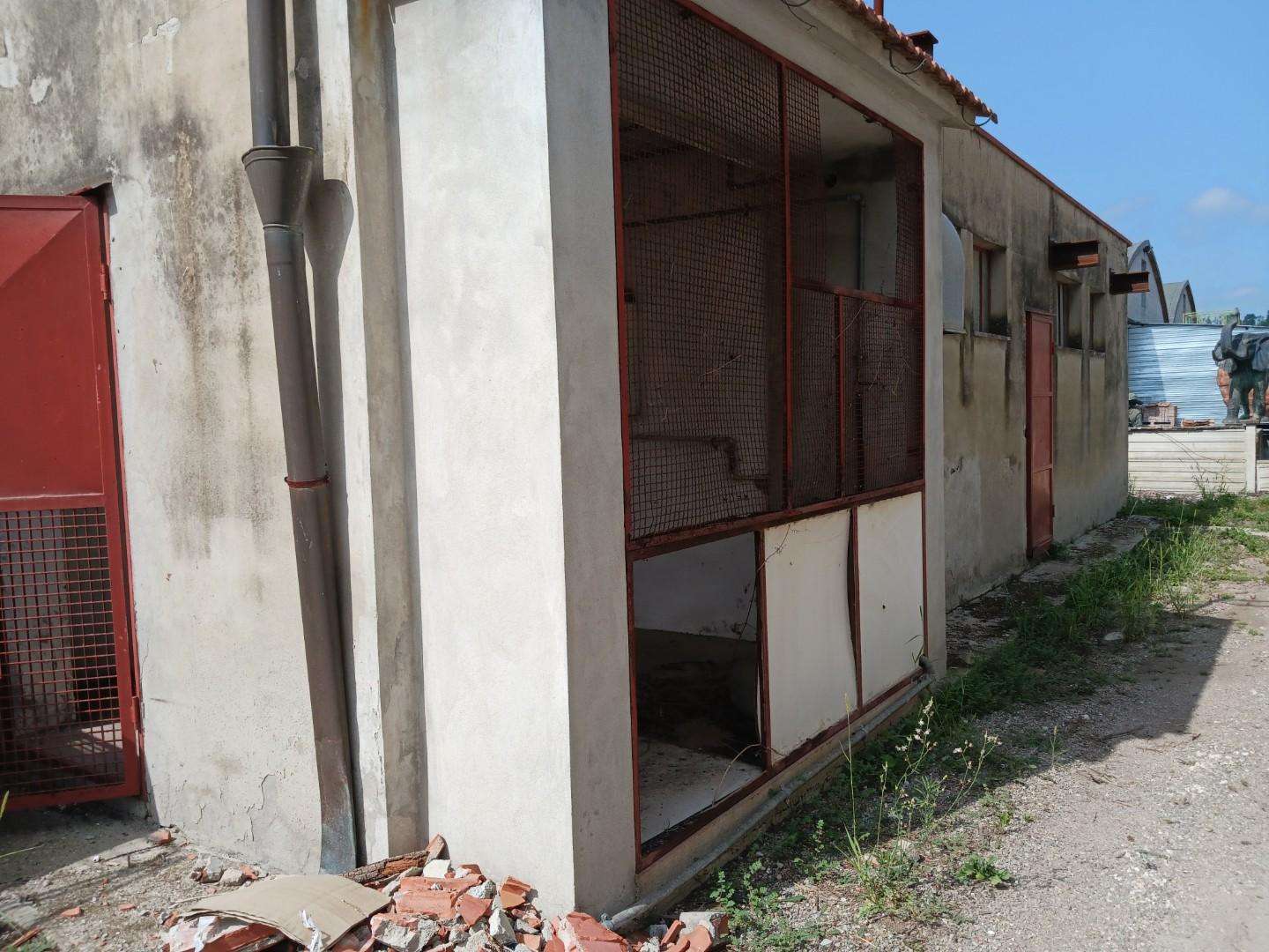  - foto 33