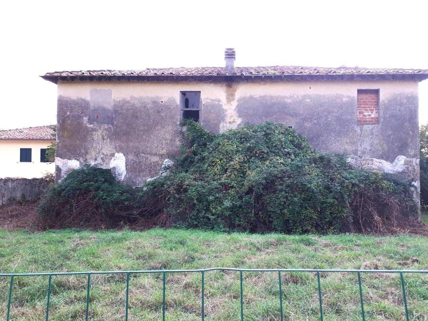 immagine annuncio 3 di 14