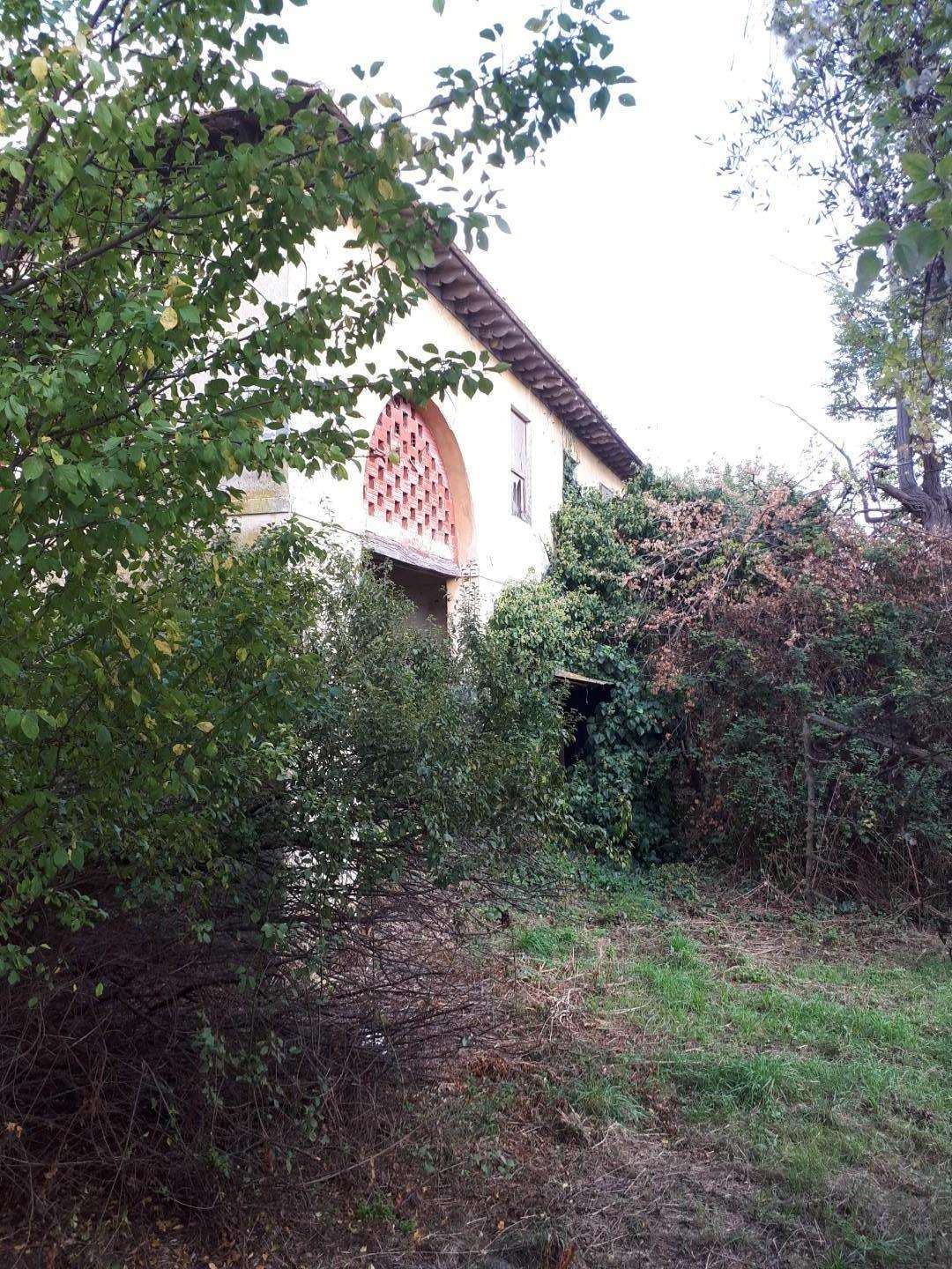 immagine annuncio 6 di 14
