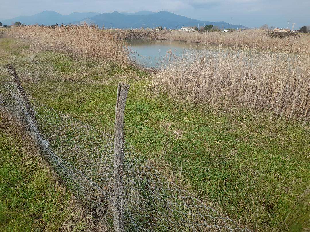 Terreno agricolo Via Rotina,, Cascina