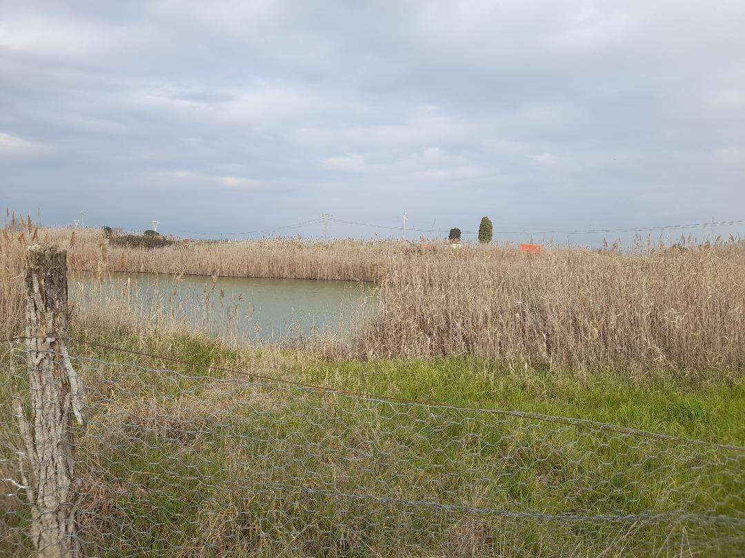 immagine annuncio 2 di 3