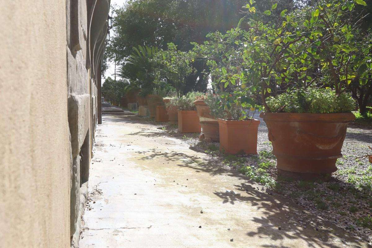  - foto 14