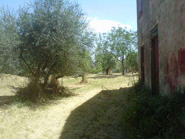 immagine annuncio 2 di 4
