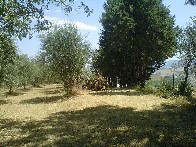 immagine annuncio 3 di 4