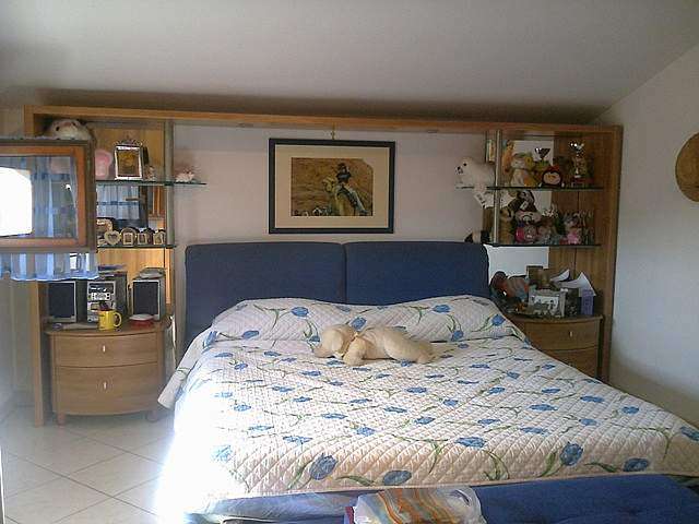 immagine annuncio 6 di 8