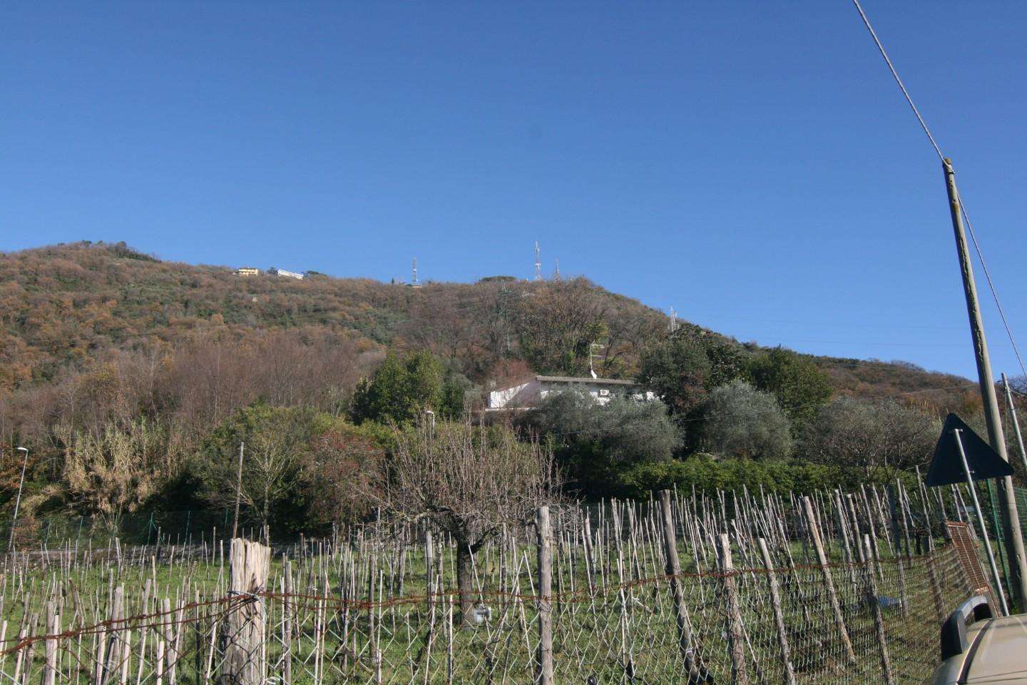  - foto 31