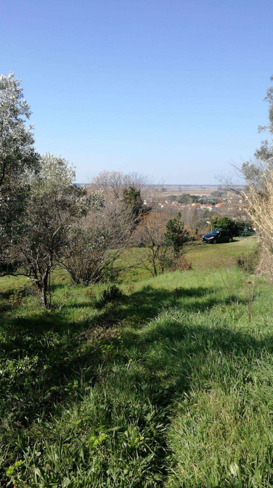 immagine annuncio 11 di 13