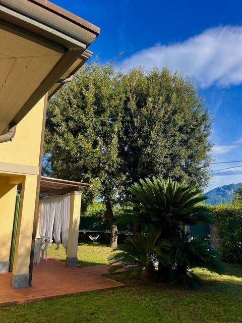 immagine annuncio 2 di 13