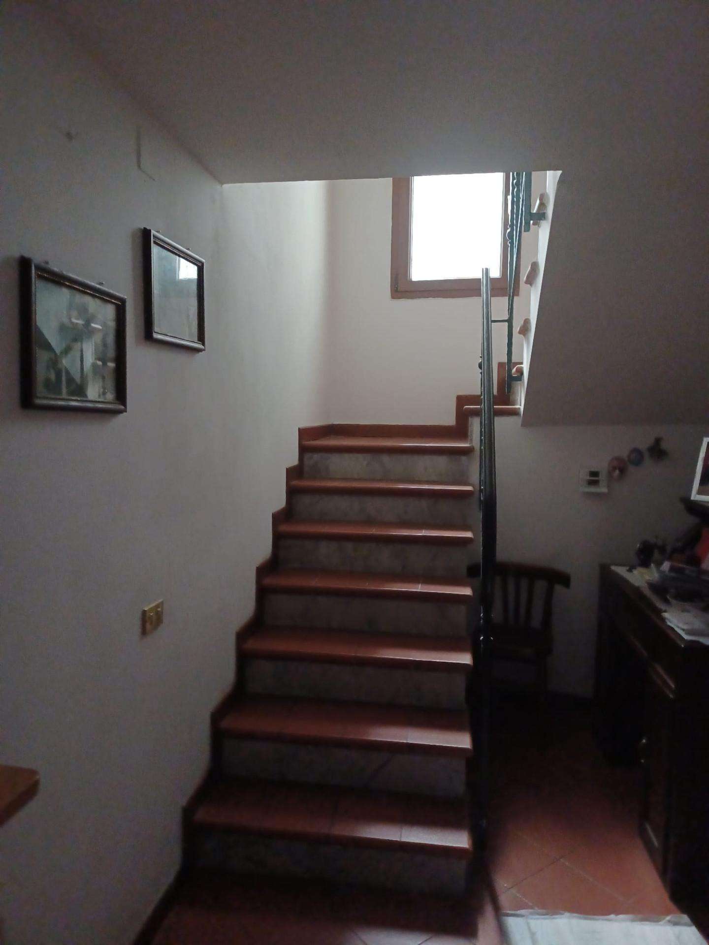  - foto 8