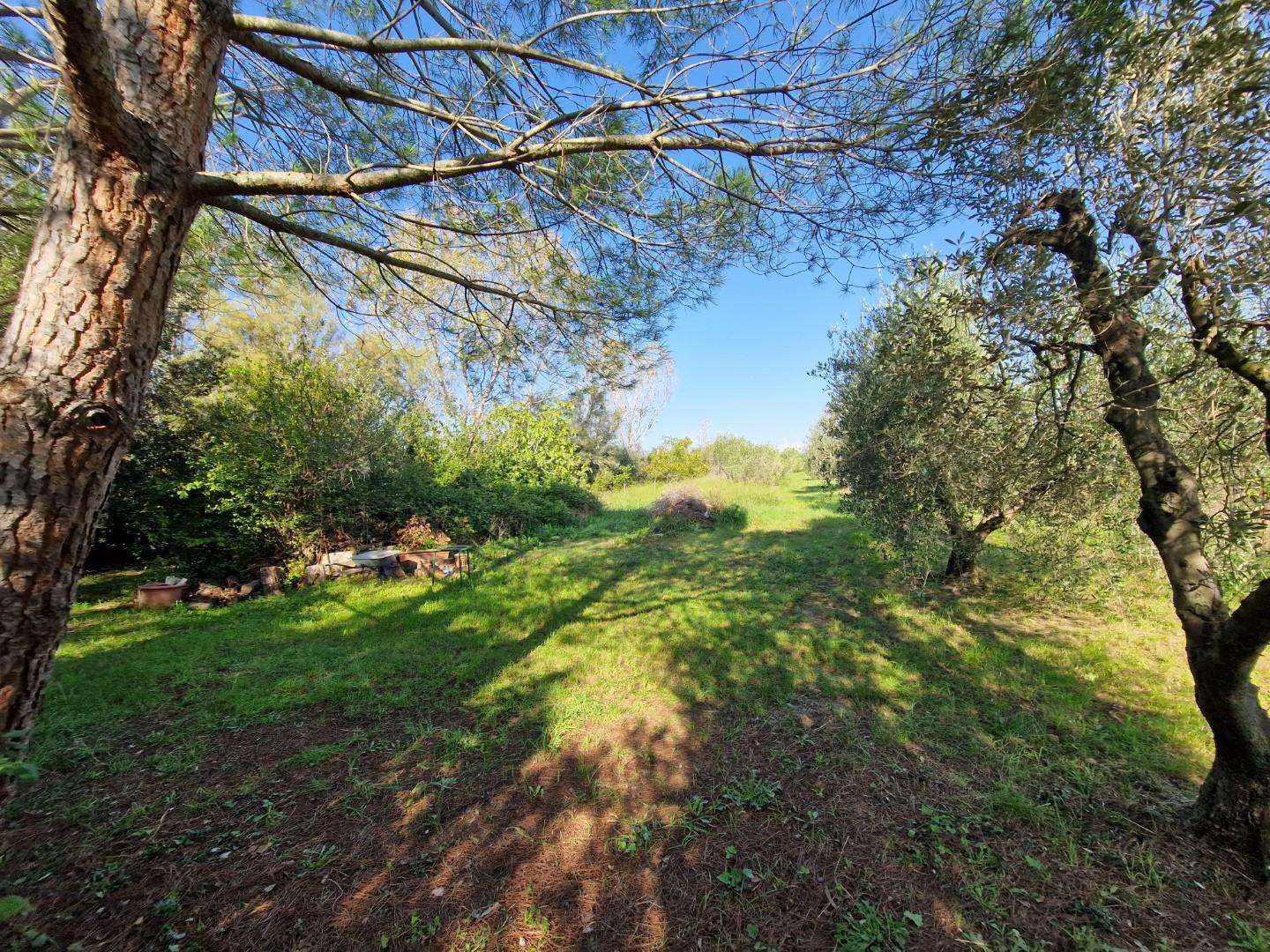 Casale del Tripesce, Rosignano Marittimo
