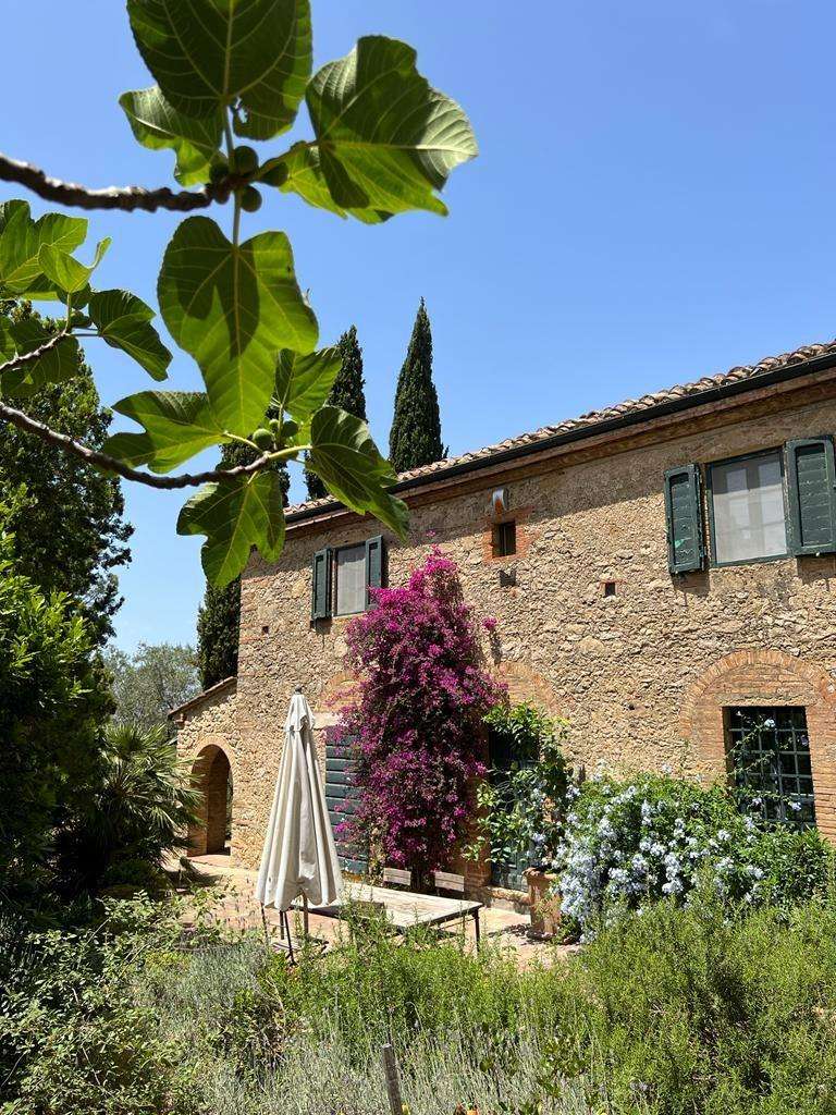 Casale Guardistallo PI,, Guardistallo