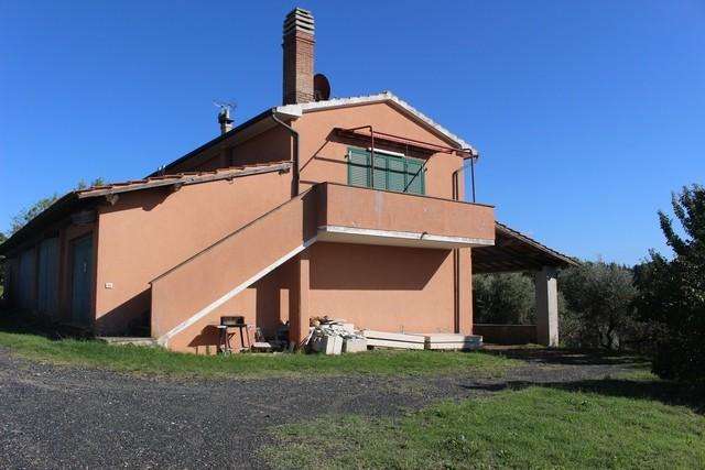 Casale Guardistallo, Guardistallo
