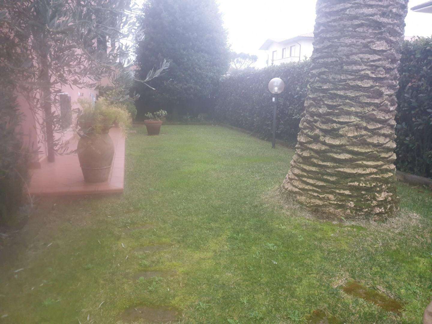  - foto 11