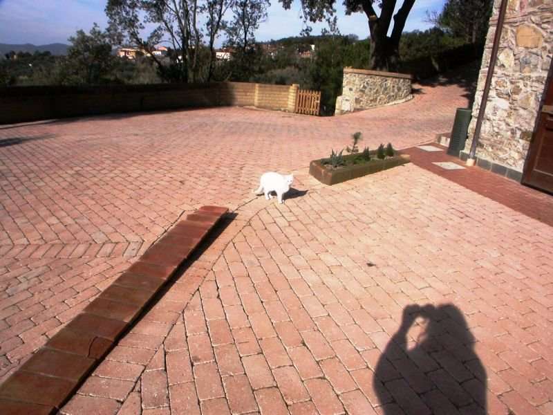  - foto 8