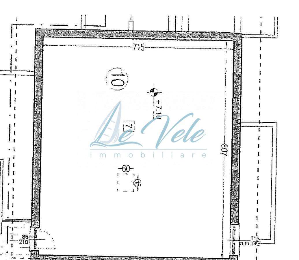 immagine annuncio 5 di 14
