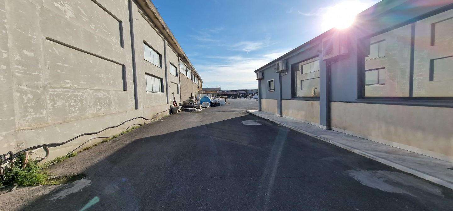 immagine annuncio 6 di 14