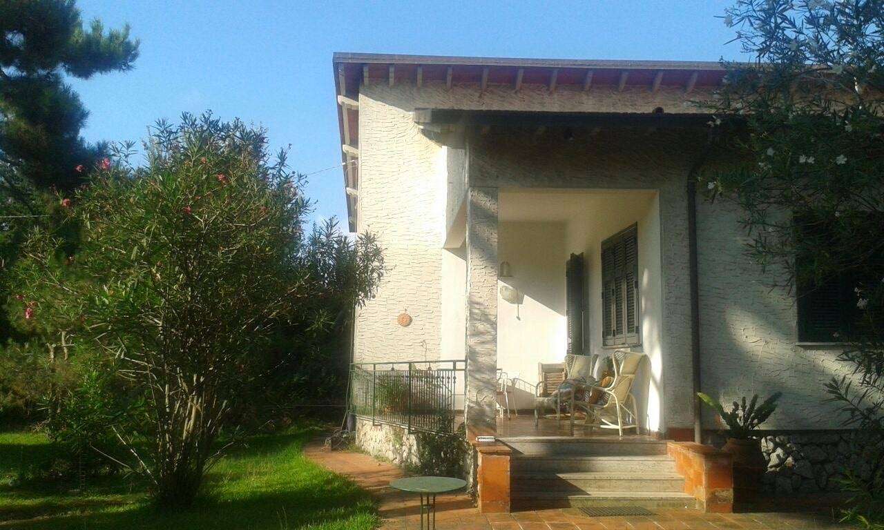  - foto 19