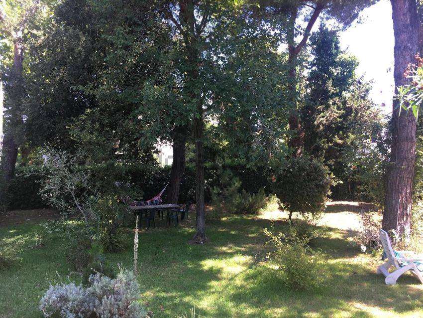  - foto 23