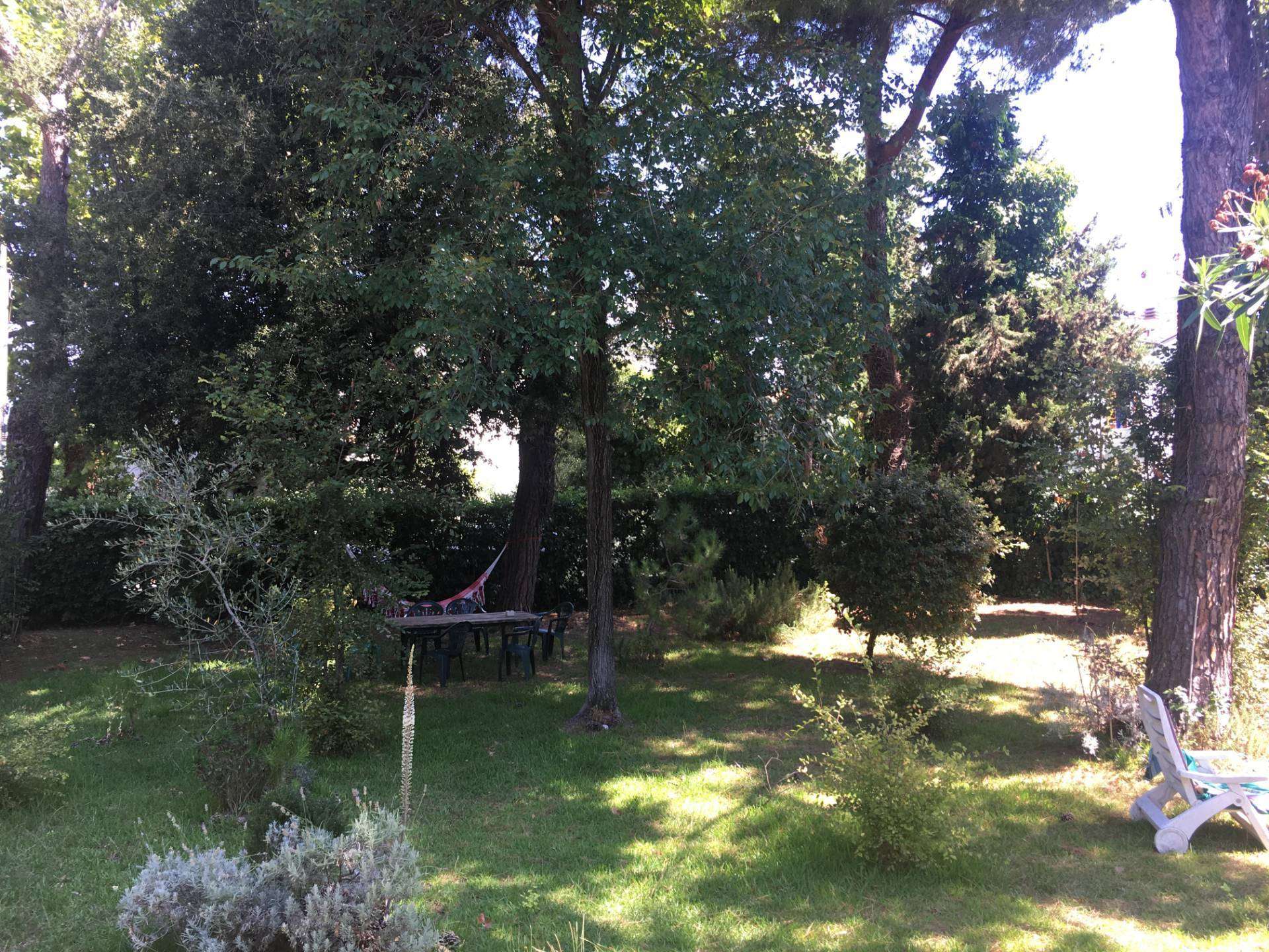  - foto 24
