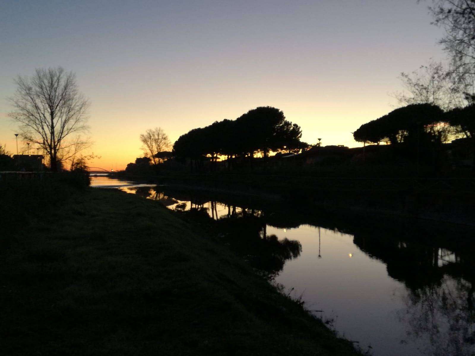  - foto 51