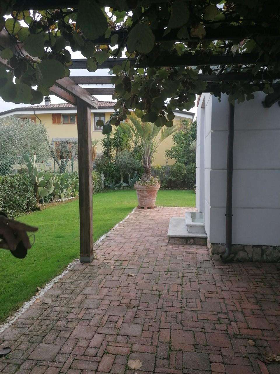  - foto 30