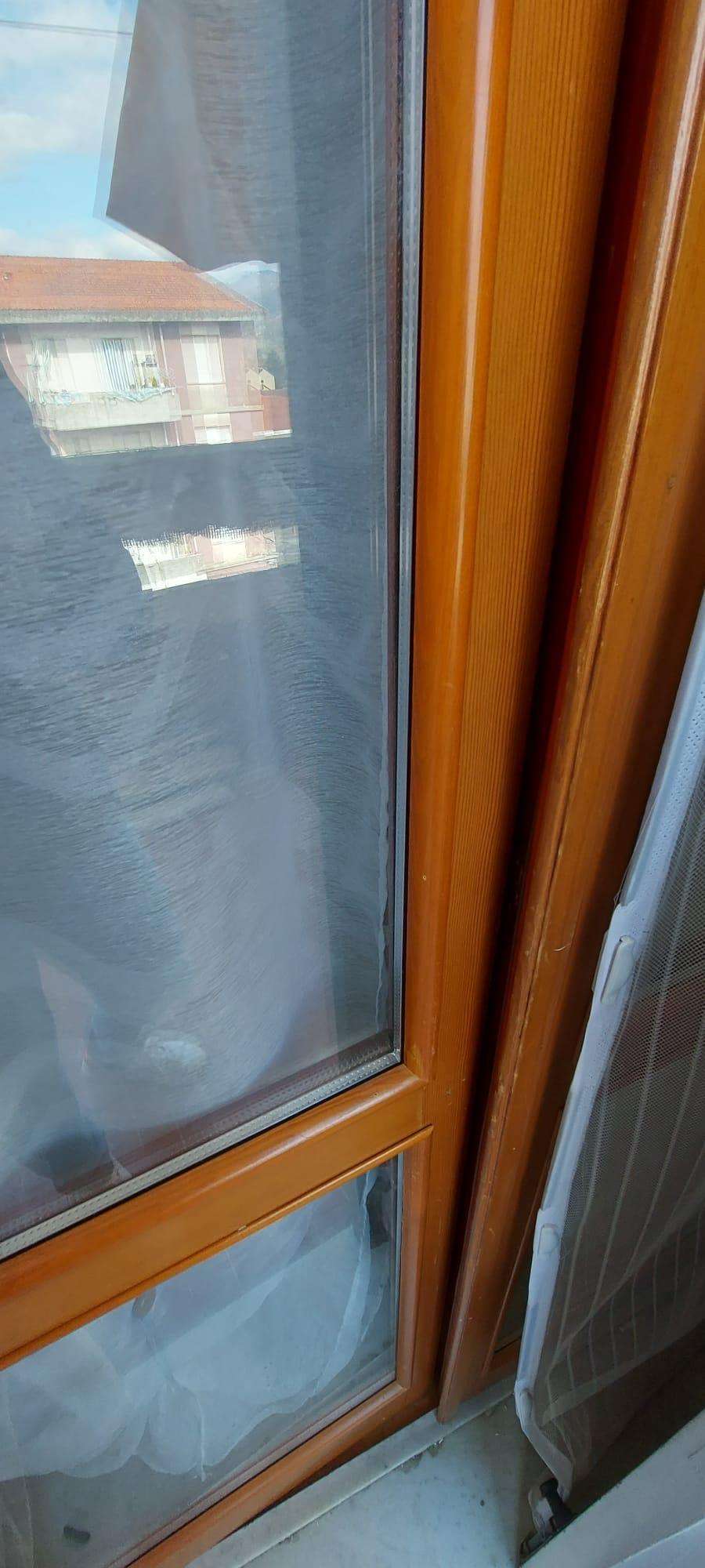  - foto 13