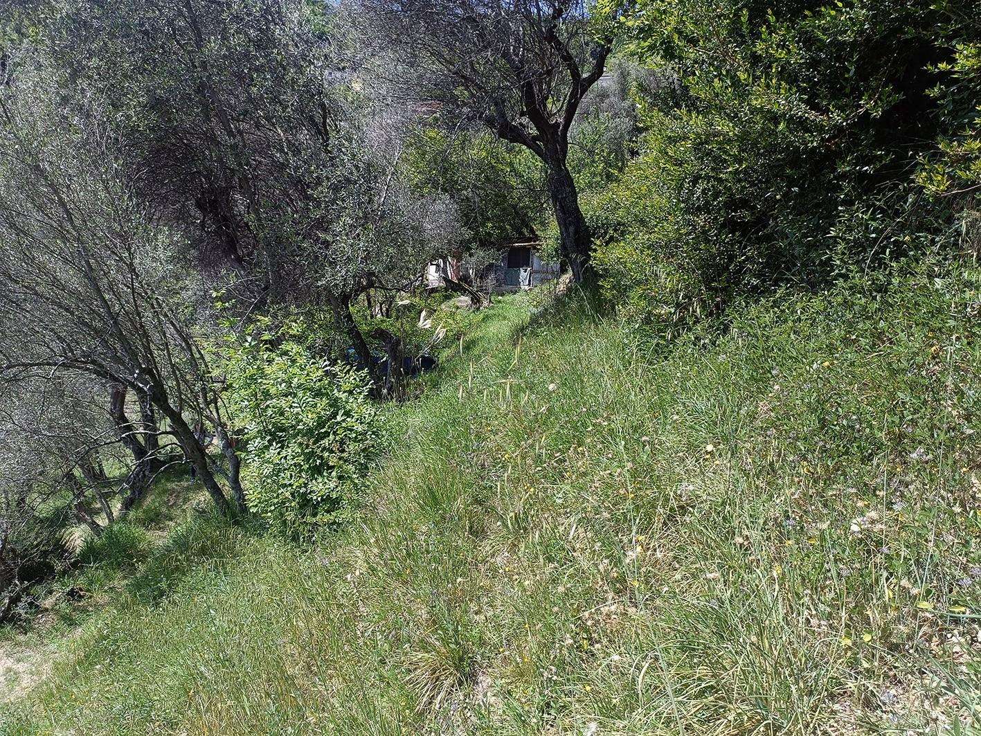 - foto 10