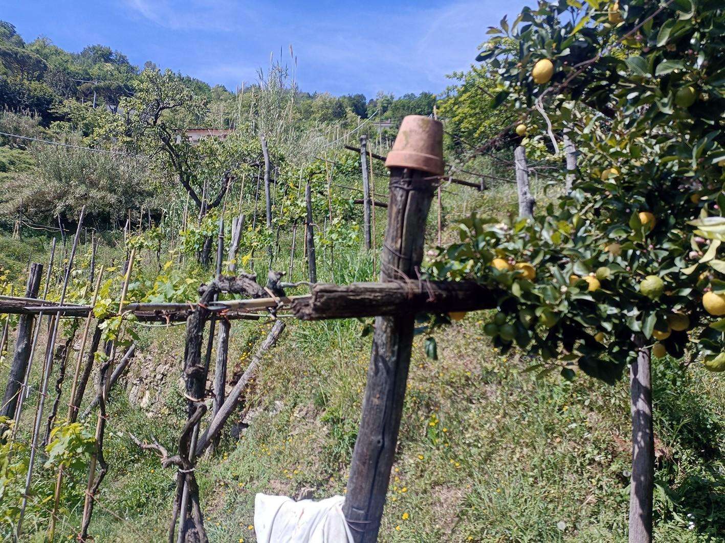 - foto 18