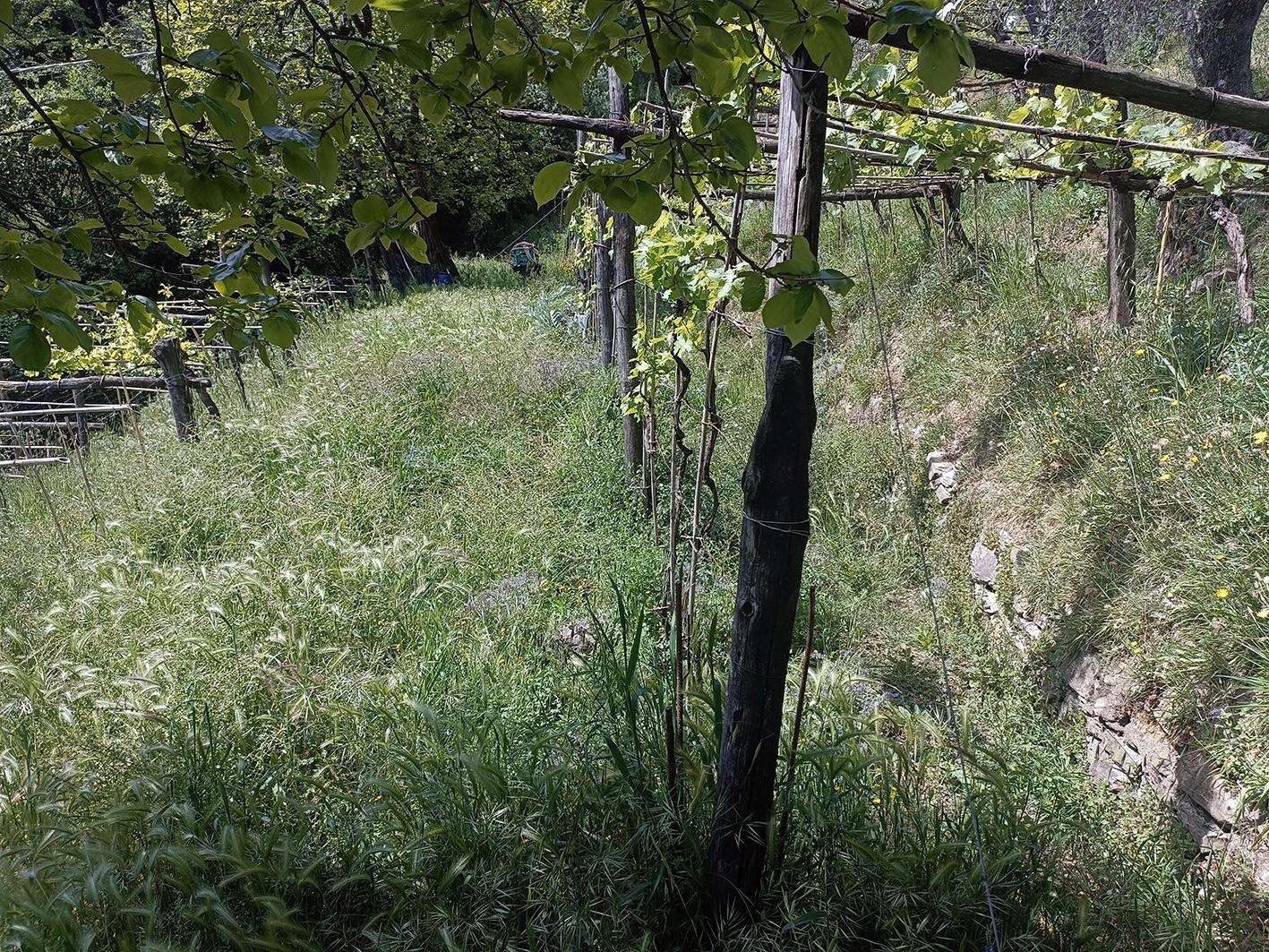  - foto 20
