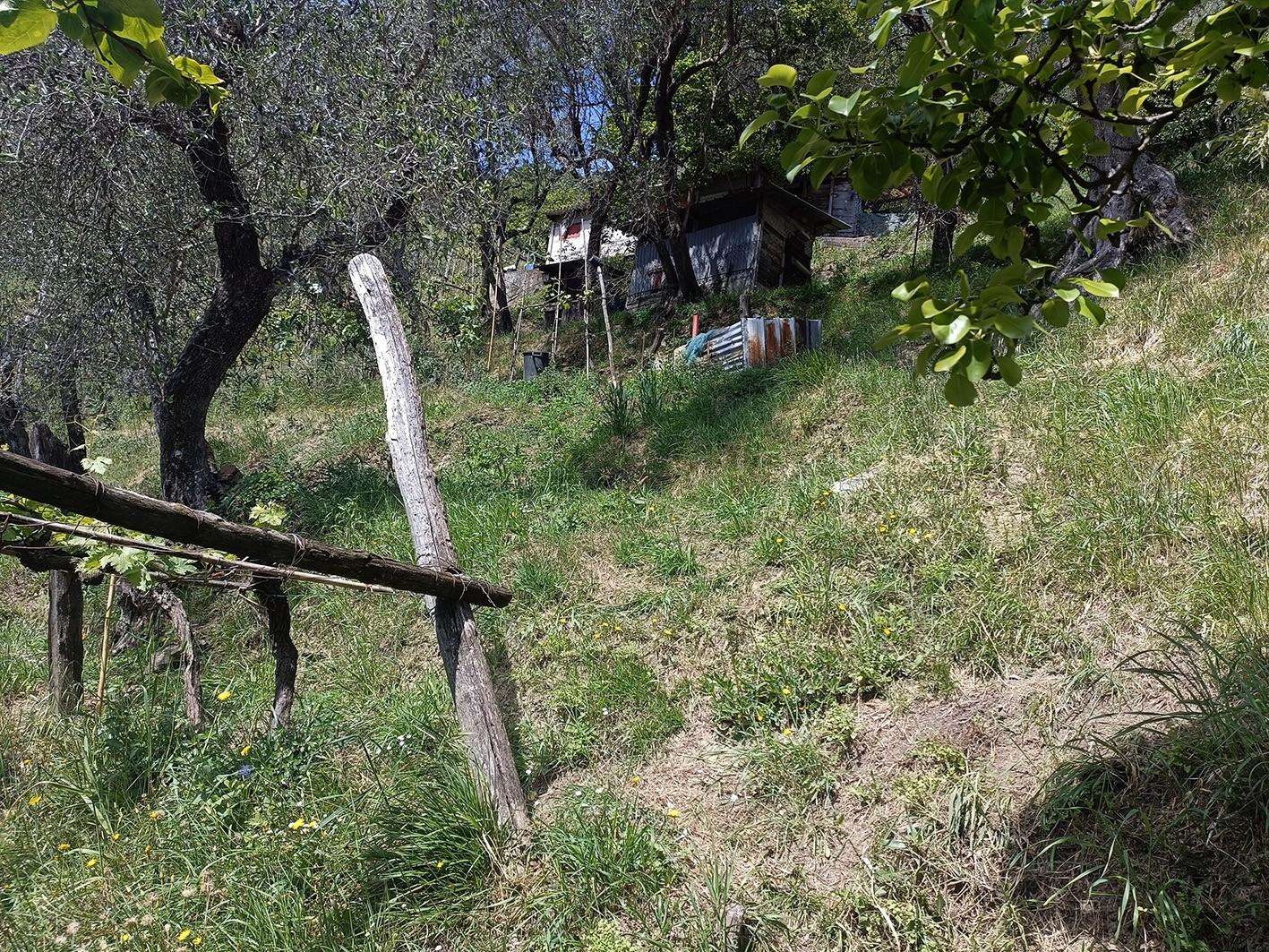  - foto 35
