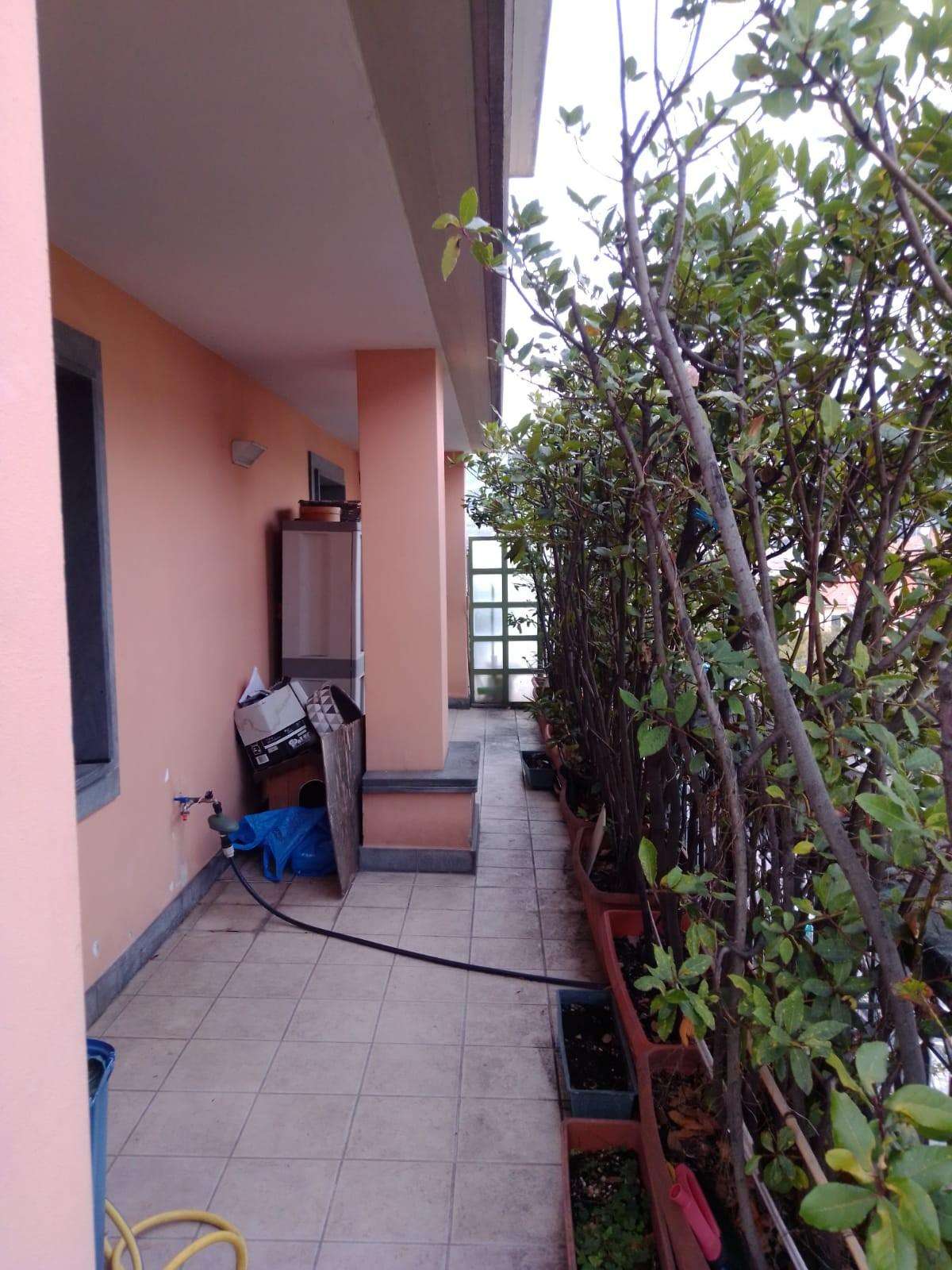  - foto 5