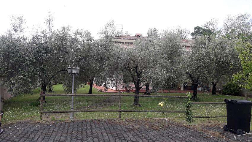  - foto 3