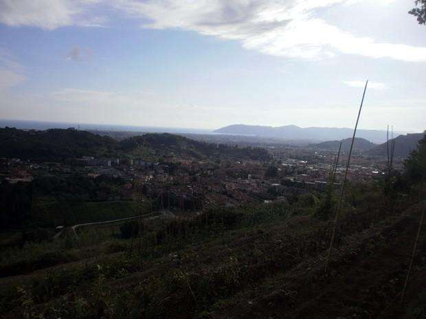  - foto 11