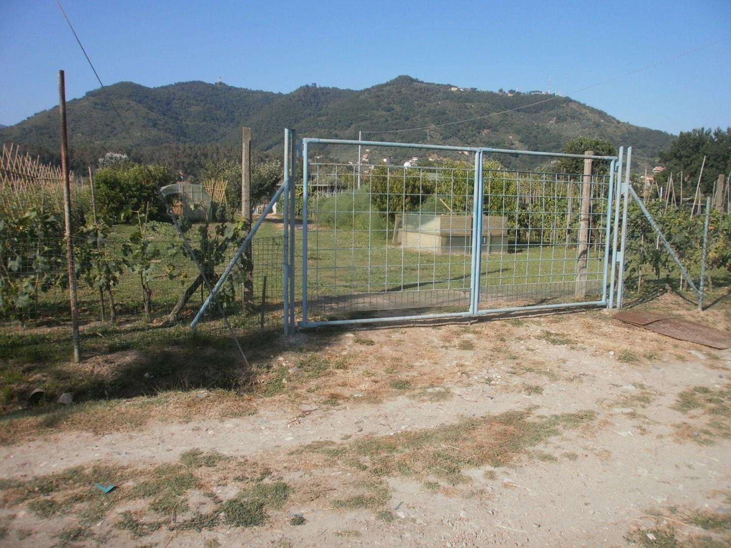 Terreno agricolo in Vendita a Carrara Via Pometo,