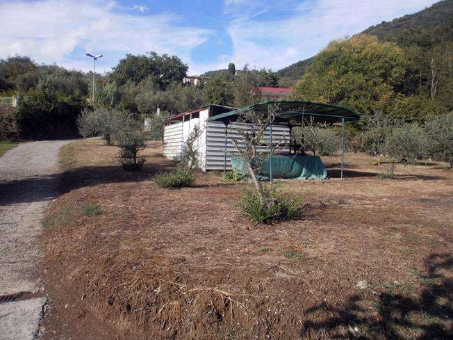 Terreno agricolo in Vendita a Carrara Via Fossone Alto,