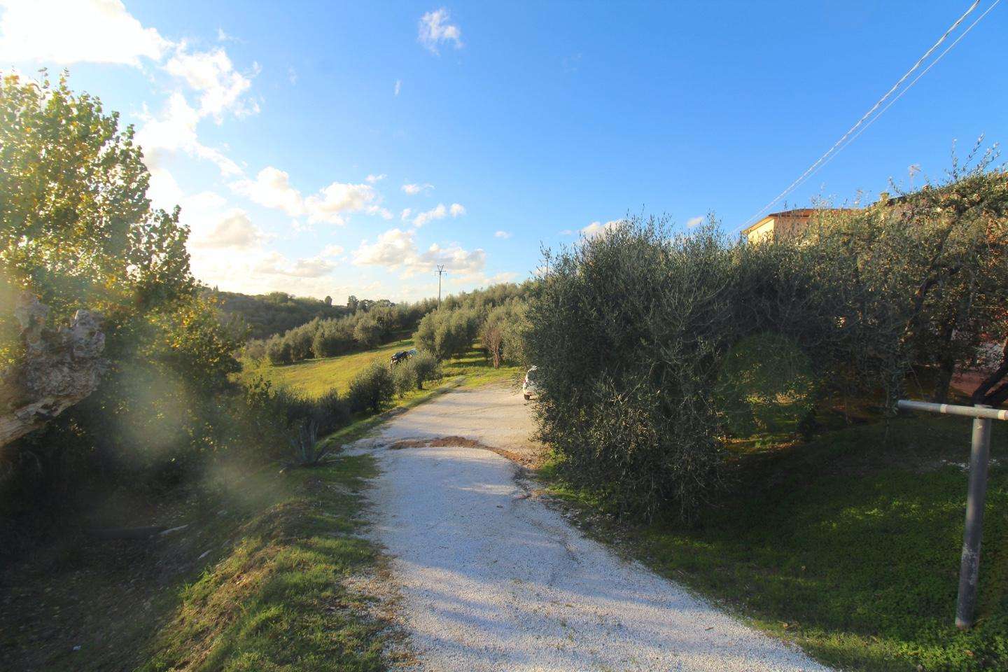  - foto 34