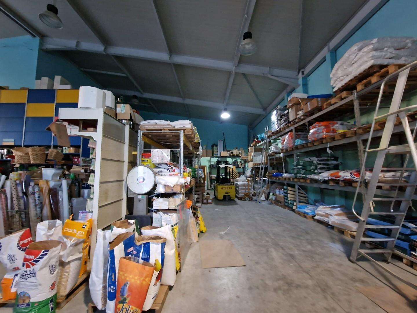 immagine annuncio 3 di 11