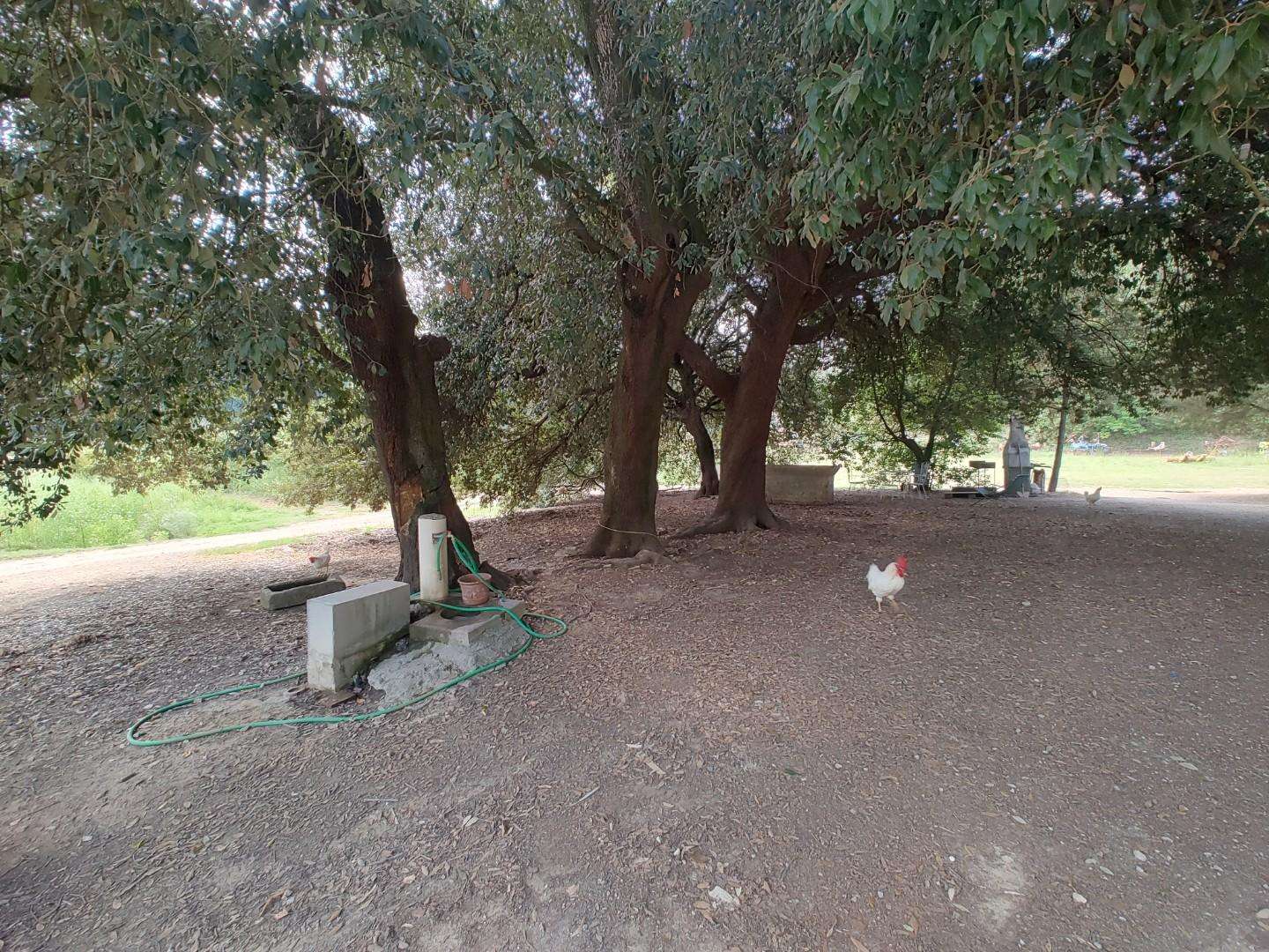  - foto 5