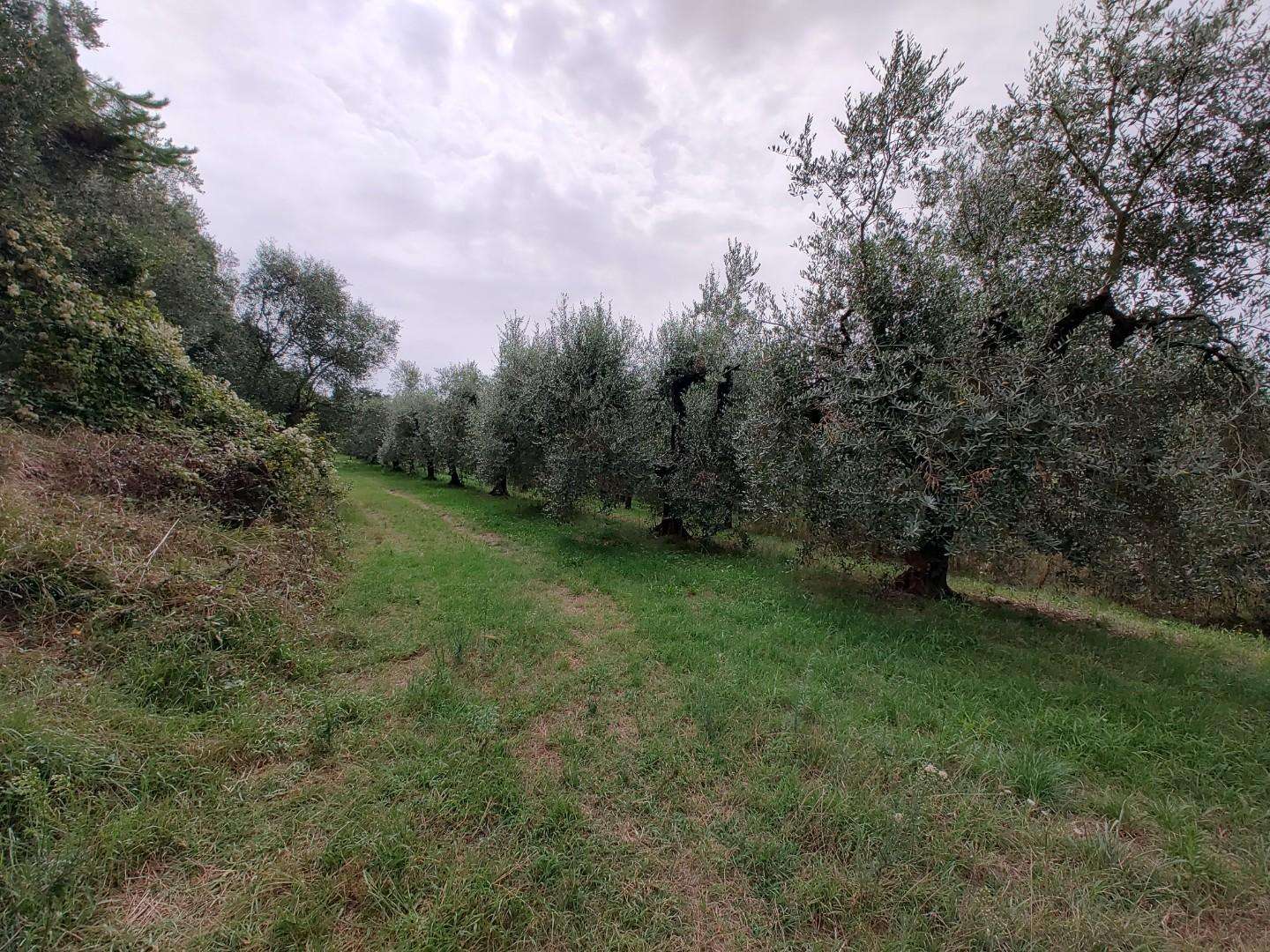 immagine annuncio 4 di 7
