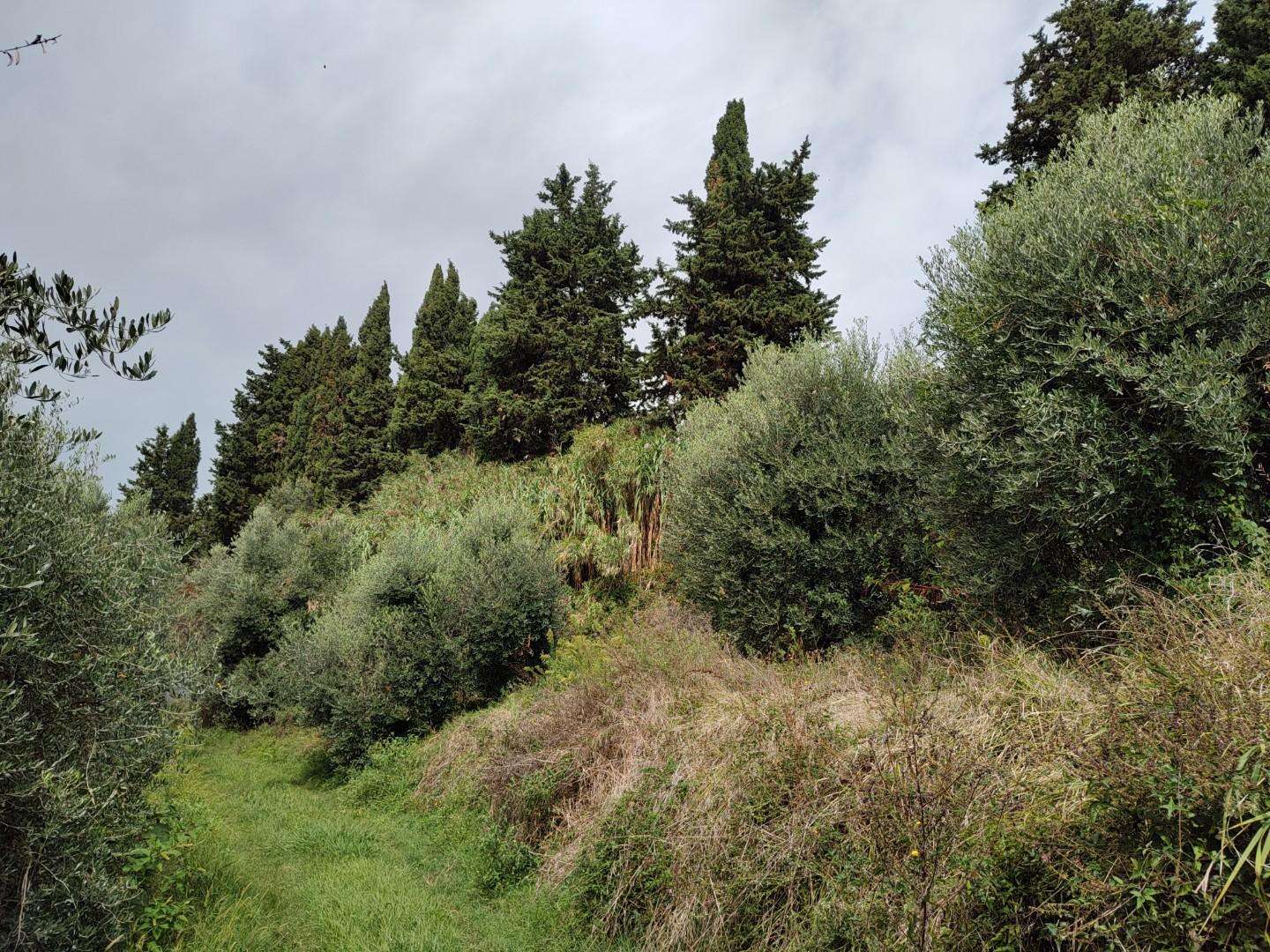 immagine annuncio 6 di 7