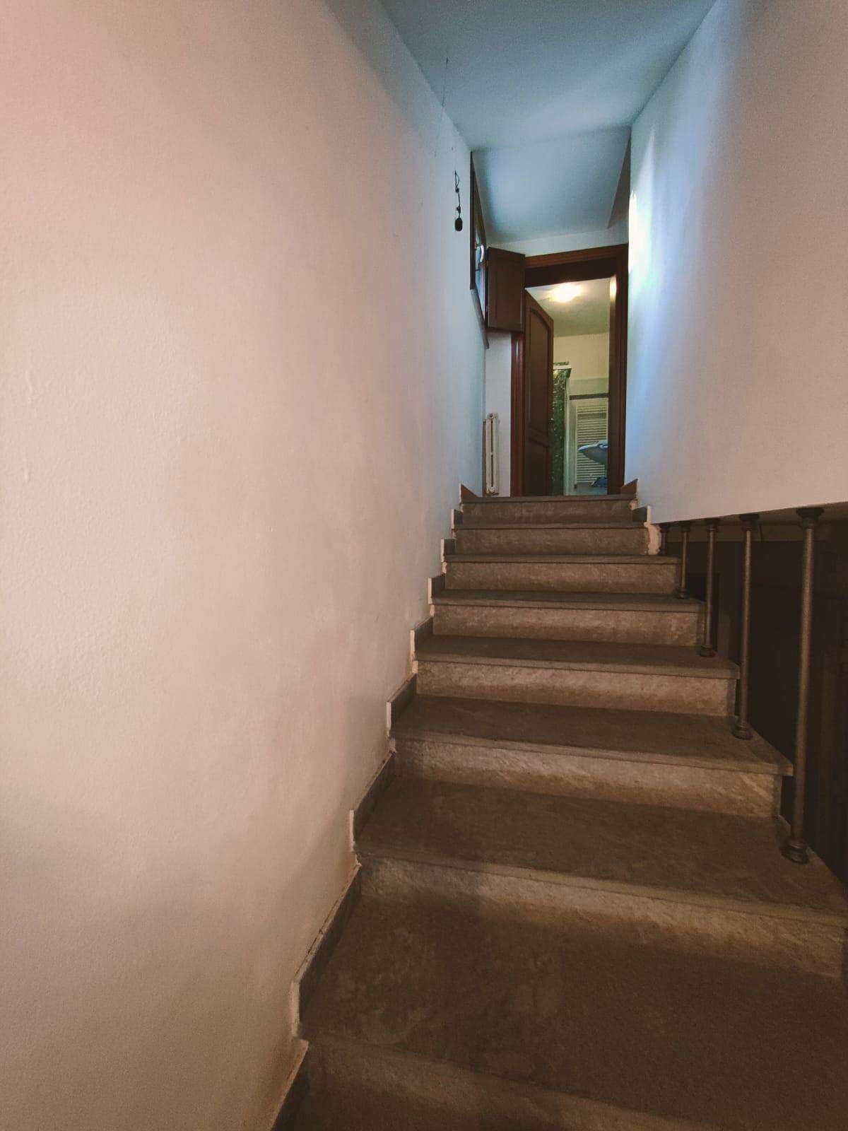  - foto 24