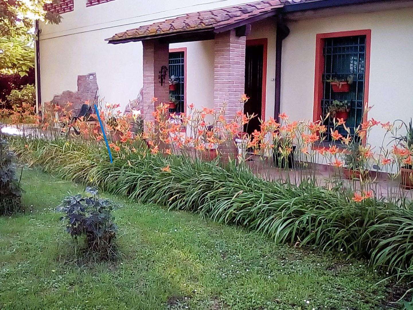  - foto 9