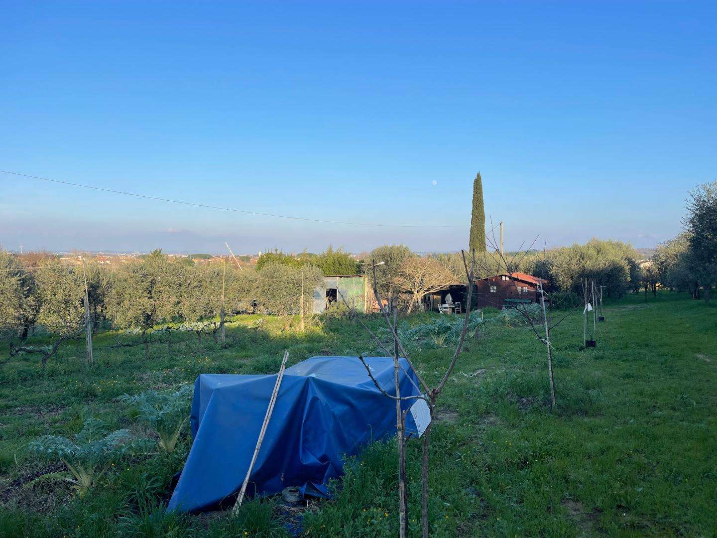 immagine annuncio 5 di 9